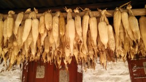 IMG_20141006_092353_889