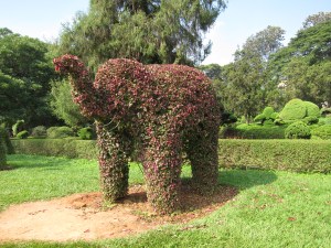 Lalbagh Botanical Garden, Bengaluru