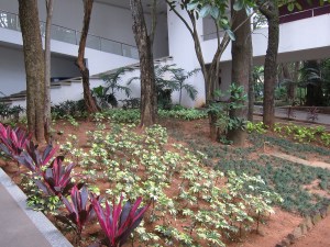 Garden at the National Gallery of Modern Art, Bengaluru.